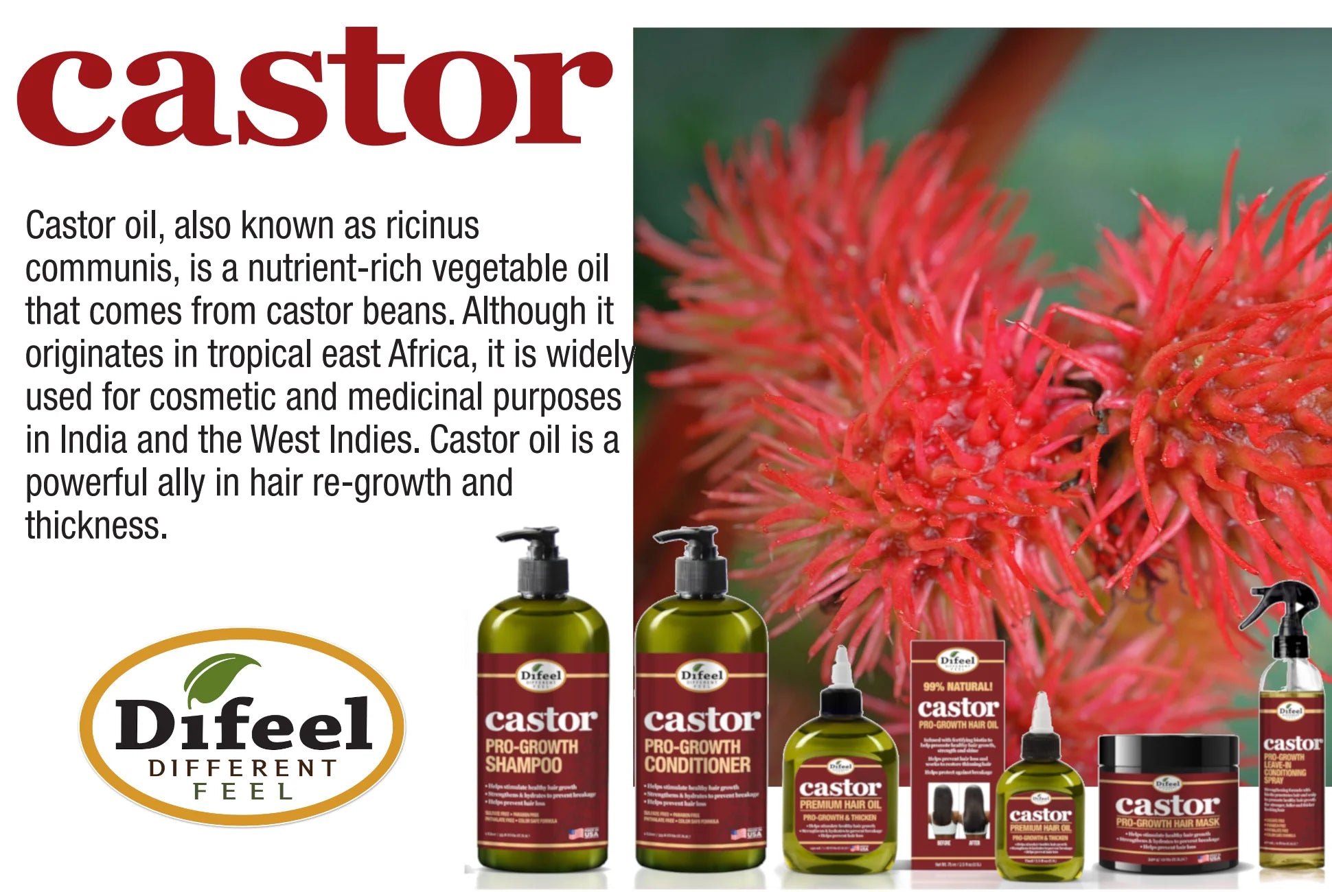 Castor Pro-Growth Hair Oil