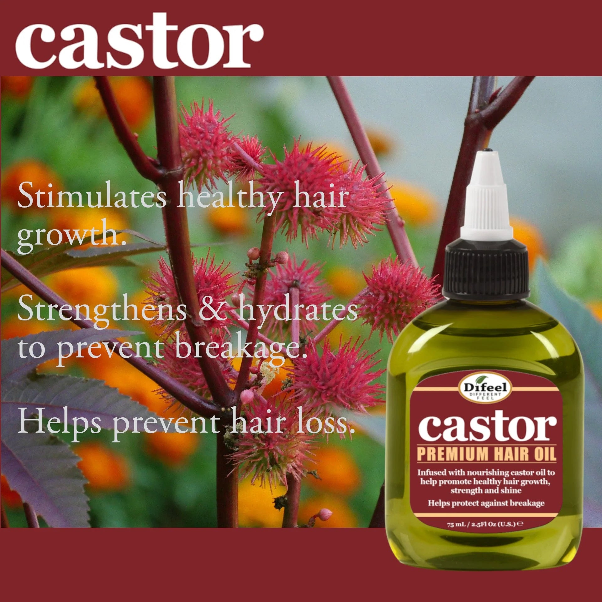 Castor Pro-Growth Hair Oil