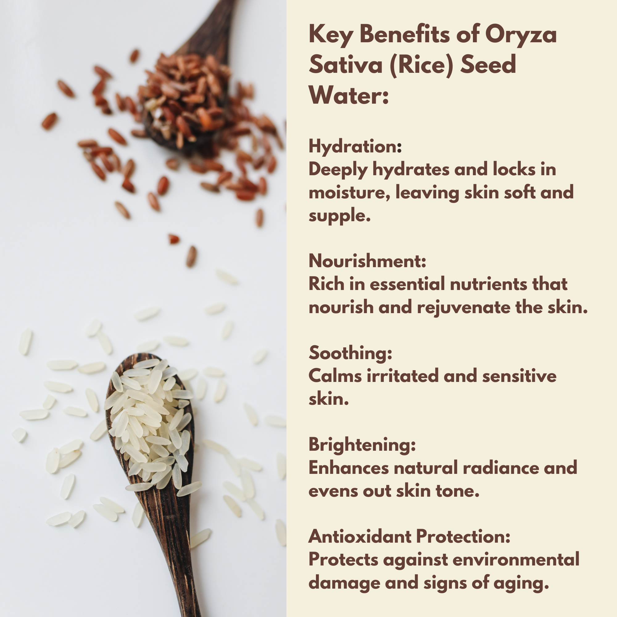 ON NATURAL - Rice Water + Biotin